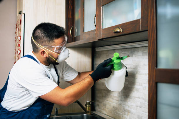 Best Exterminator Services  in Robersonville, NC