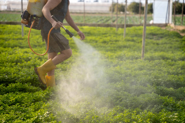 Best Commercial Pest Control Services  in Robersonville, NC